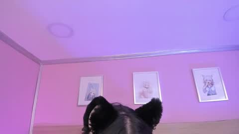 Snapshot of sachi_meow chatting on 02-15-25, 03:31 Ig online show from 02-15-25, 03:31