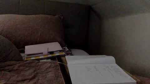 Snapshot of saggy888 chatting on 09-28-25, 05:18 MistressLady online show from 09-28-25, 05:18