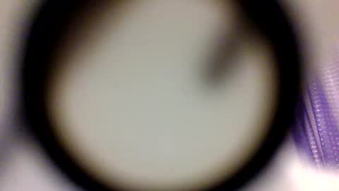 LatinaMamacita online show from 02-09-26, 07:23