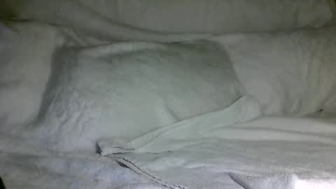 Snapshot of saintd17 chatting on 12-31-24, 03:12 SD17 online show from 12-31-24, 03:12