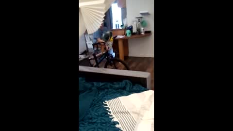 salis1981 online show from 04-02-26, 12:30