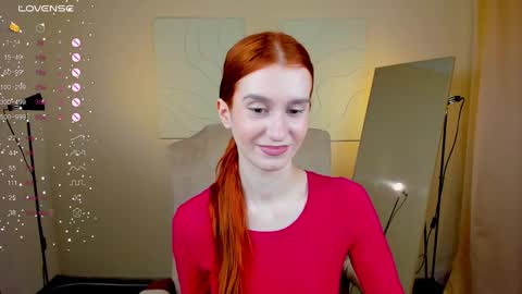 Snapshot of sallybiscuit chatting on 01-30-25, 10:40 Sally online show from 01-30-25, 10:40
