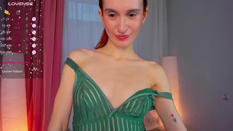 Snapshot of sallybiscuit chatting on 02-21-25, 01:33 Sally online show from 02-21-25, 01:33