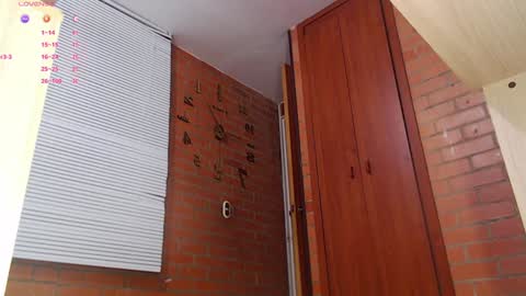 SAMANTHA online show from 01-14-25, 09:41