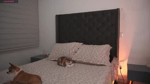 Snapshot of salomedyla chatting on 05-12-26, 01:47 salomedyla online show from 05-12-26, 01:47