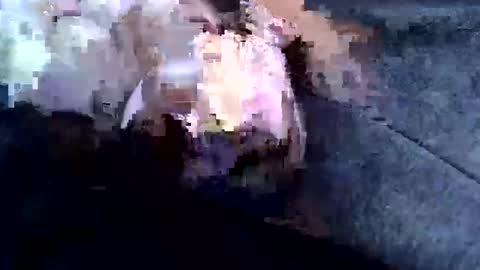 sam122227 online show from 02-03-25, 09:08
