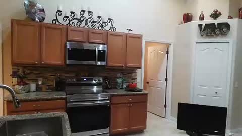 Snapshot of sam_papithebarber chatting on 11-06-25, 04:24 sam_papithebarber online show from 11-06-25, 04:24