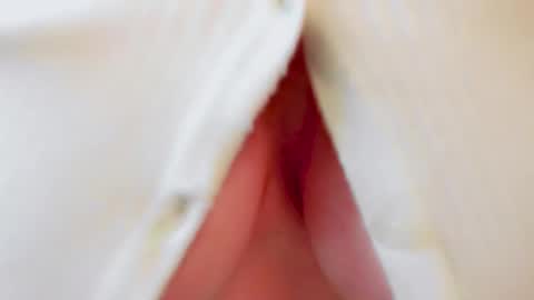 Andy online show from 10-17-25, 12:30