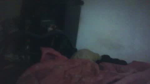 Snapshot of samedisamedi1nouveau chatting on 10-18-25, 11:33 Samedisamedi1nouveau online show from 10-18-25, 11:33
