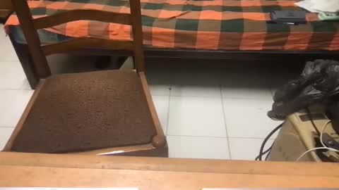 Snapshot of samhotbbc7 chatting on 10-19-25, 12:33 samhotbbc7 online show from 10-19-25, 12:33