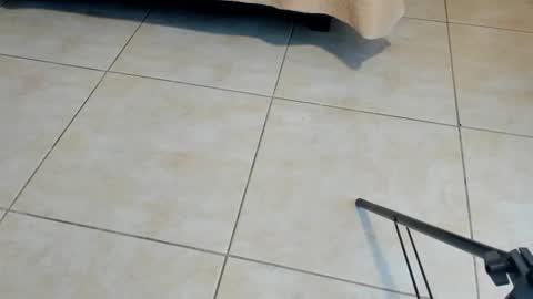 Snapshot of sammybrunette1 chatting on 11-02-25, 12:29 Axel online show from 11-02-25, 12:29