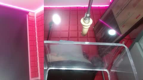 SAMMY online show from 02-16-26, 10:33