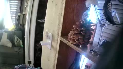 samys1234 online show from 05-10-26, 10:37