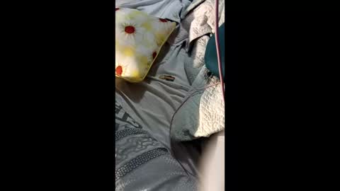 Snapshot of sanderray3 chatting on 02-12-26, 08:09 ShynNkd online show from 02-12-26, 08:09