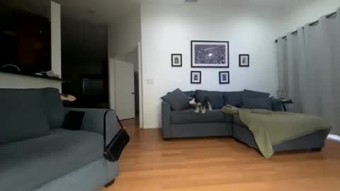 Santana online show from 04-12-26, 10:53