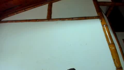 santi_twink19 online show from 06-15-26, 12:07