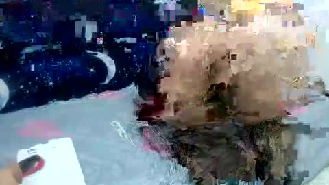 Snapshot of sara_love43 chatting on 02-02-25, 03:54 Sara love online show from 02-02-25, 03:54