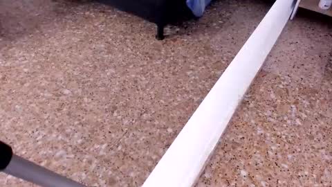 sara_salgado online show from 02-22-26, 11:09