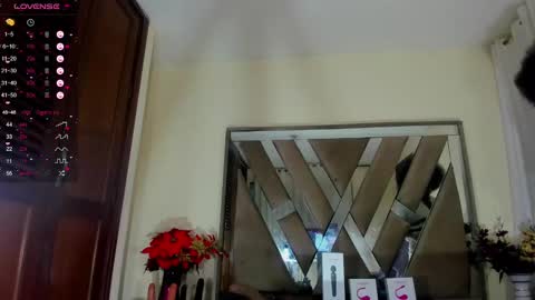Snapshot of sara_williams01 chatting on 01-29-25, 01:17 SARA 730 A 200 PM online show from 01-29-25, 01:17