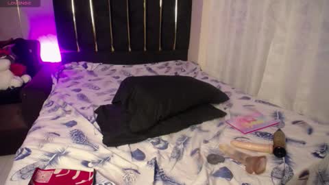 Snapshot of saraa_li chatting on 02-21-26, 04:24 saraa_li online show from 02-21-26, 04:24