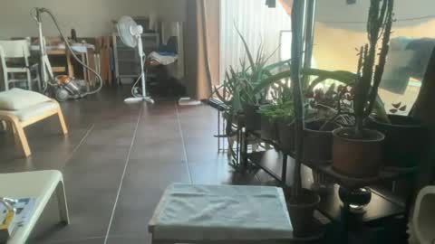 Sara Fossette online show from 06-29-26, 11:10