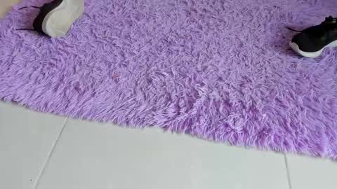 sarah  cinnamon online show from 12-18-25, 06:58