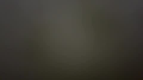 TeaseHisDick online show from 02-01-26, 04:38