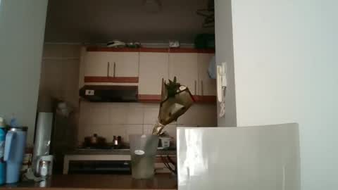 Snapshot of sarita_start chatting on 05-11-26, 03:40 sarita_start online show from 05-11-26, 03:40