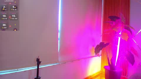 sasha_gracee_ online show from 04-08-26, 01:00