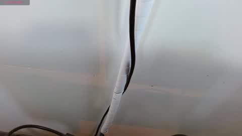 sasha_kinsley online show from 02-11-26, 09:31