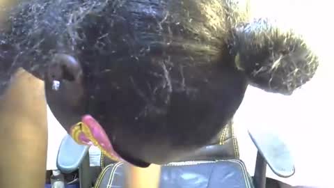 sasha_sexy769 online show from 11-15-25, 07:10