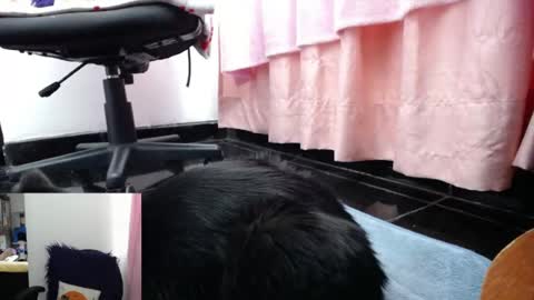 sasha start online show from 05-12-26, 12:02