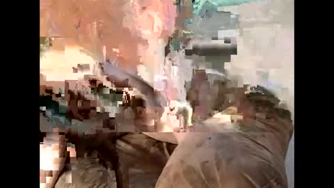 Cedar online show from 03-07-25, 11:27