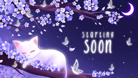 Sassy Sami Kittyn online show from 01-03-25, 06:11