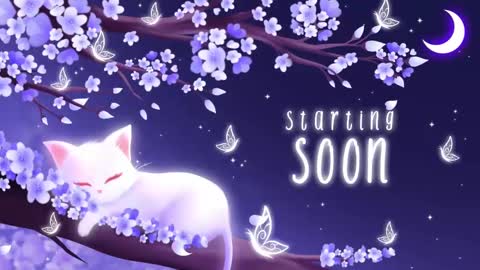 Sassy Sami Kittyn online show from 11-04-25, 06:23