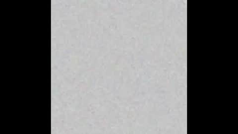 Sassysonia online show from 10-12-25, 08:41