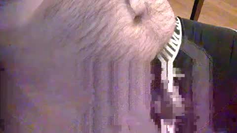 sato58264 online show from 05-18-26, 06:36