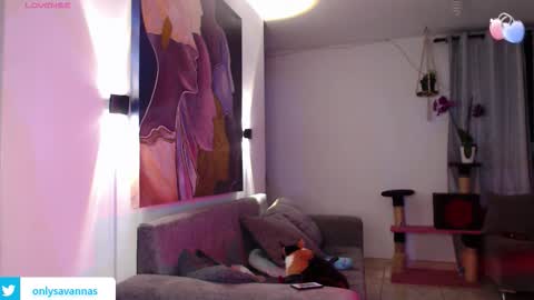 Savannaredhair 33 Angelebony33 online show from 09-10-25, 11:27