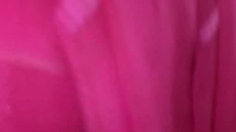 Snapshot of savita0969 chatting on 03-11-26, 05:02 Anjali online show from 03-11-26, 05:02