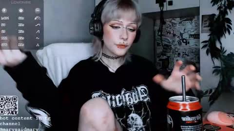 Snapshot of say_mary chatting on 10-13-25, 12:10 pronoun she. name Mary. age 21. online show from 10-13-25, 12:10