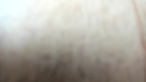 Snapshot of sayo_mao18 chatting on 09-24-25, 01:53 sayo_mao18 online show from 09-24-25, 01:53