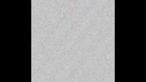 Venus online show from 02-17-25, 11:23