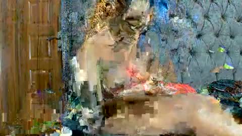 scarlet seductress online show from 03-02-26, 11:22