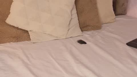 Snapshot of scarleth_lux_ chatting on 10-16-25, 06:14 Scarleth online show from 10-16-25, 06:14