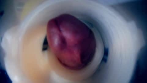 Scarr online show from 02-09-26, 12:20