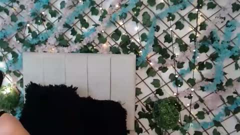 SCARLET online show from 01-17-26, 10:42