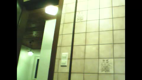 schnibschnab online show from 11-30-25, 08:46