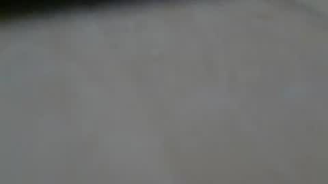 schwaermer1 online show from 06-18-26, 09:25