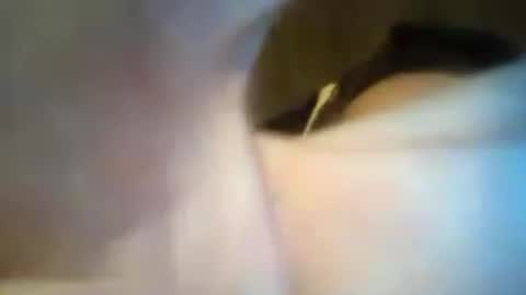 scooterlynn911 online show from 06-21-26, 02:41