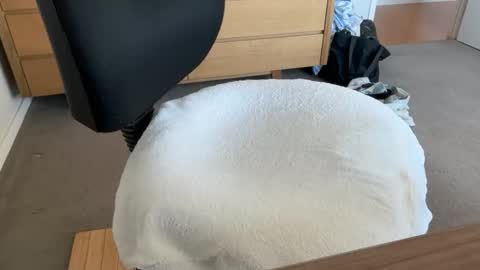 scottyeah80 online show from 01-17-26, 02:16